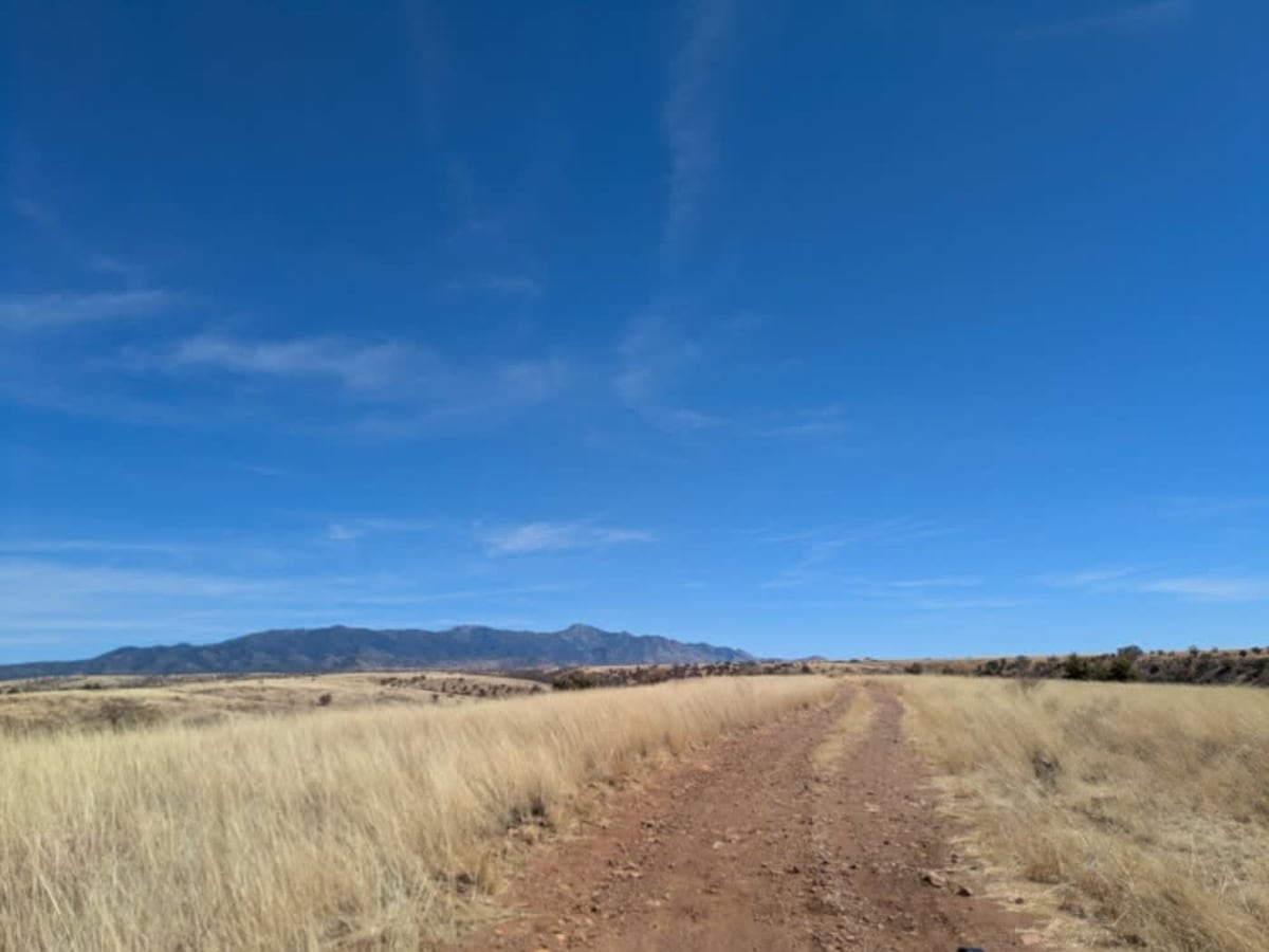 Chuparosa Road photo 5