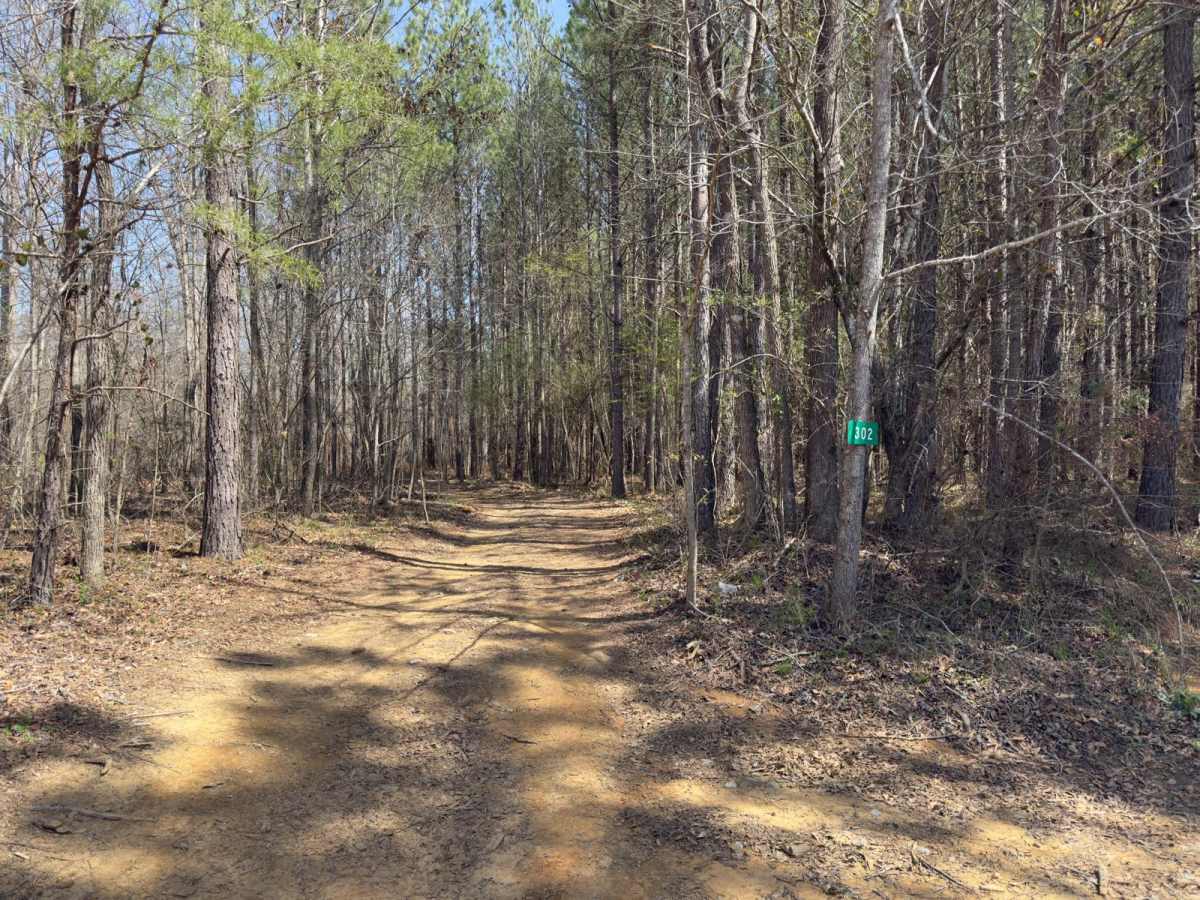 302 trail photo