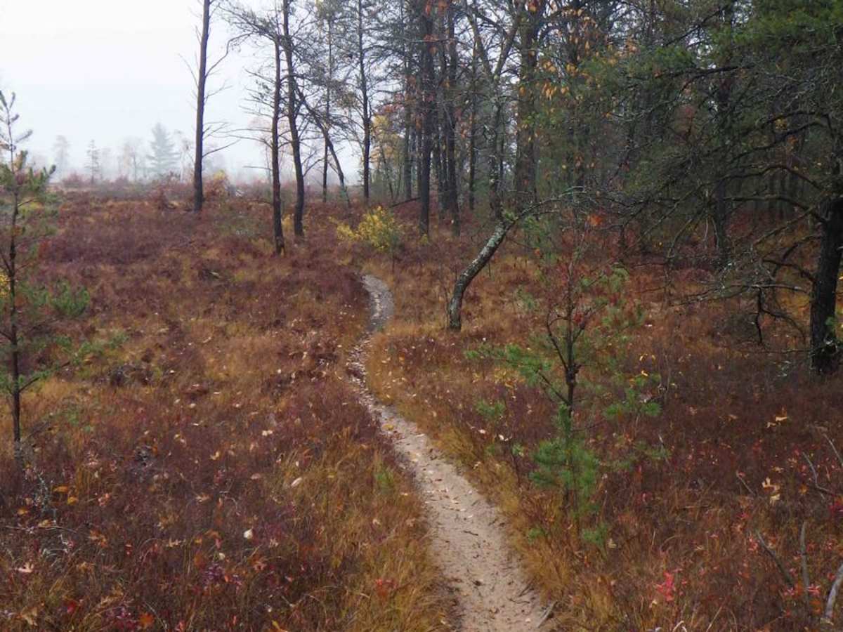 MCCCT M-37 to Little Manistee trail photo