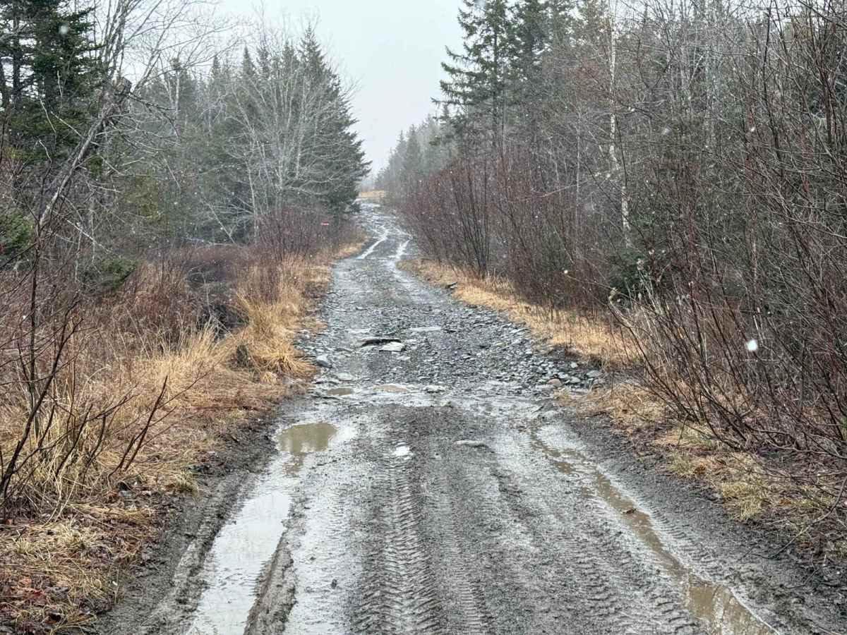 Scott Paper Road photo 6