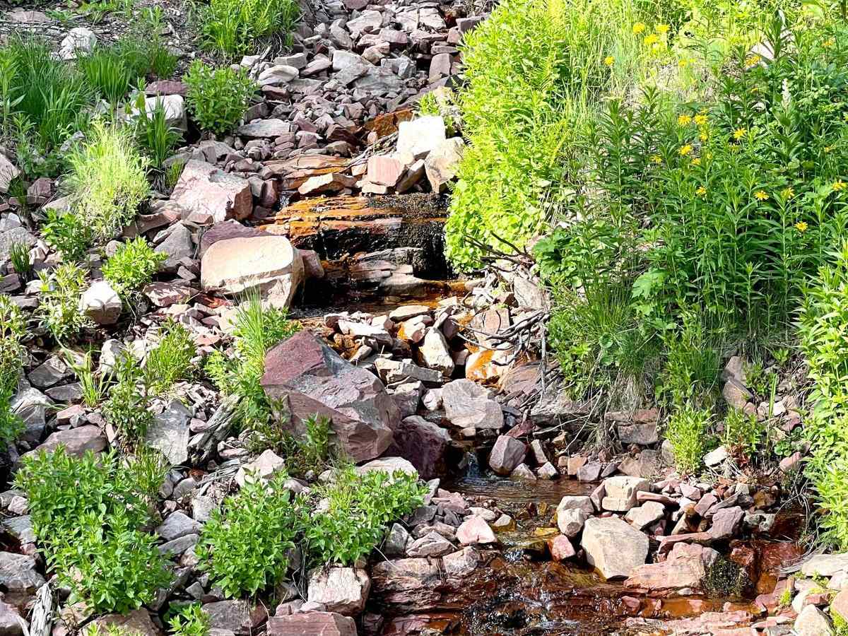 Little Stanley Creek photo 6