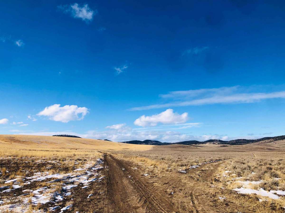 Wild Horse Tank Road photo 4