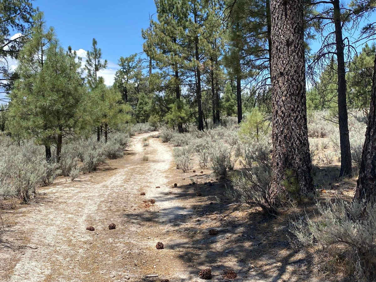 Rancho San Luis Road photo 2