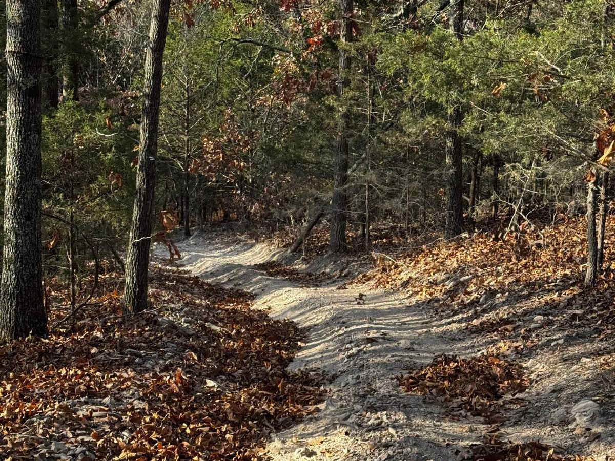 Bluff Run photo 3