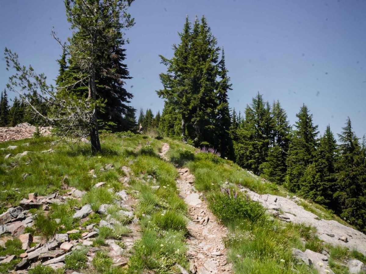 Cedar Mountain photo 5