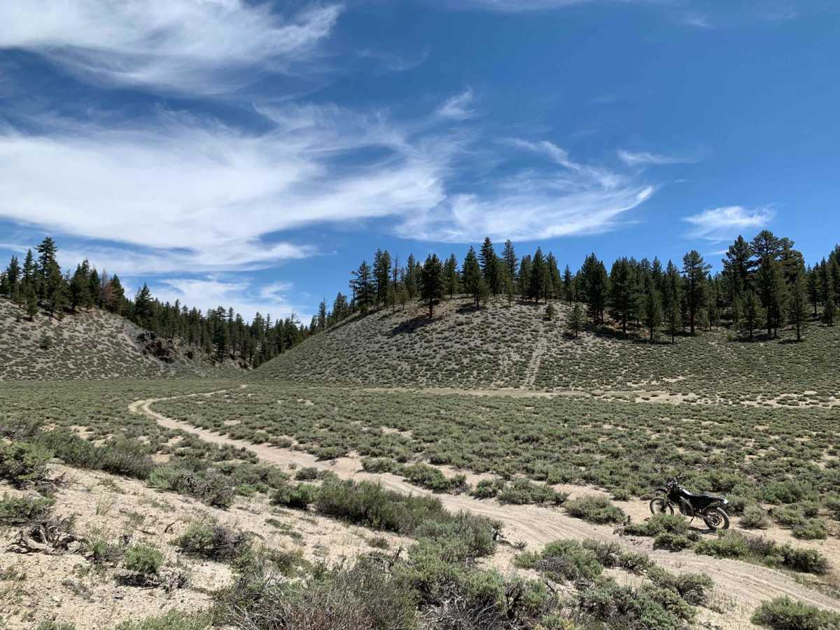 Dry Creek Gulch (28E210) photo 3
