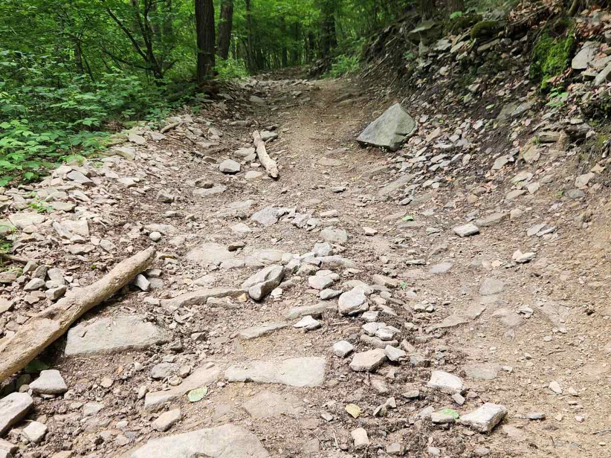 Trail 3H - Rock Run Recreation Area photo 2