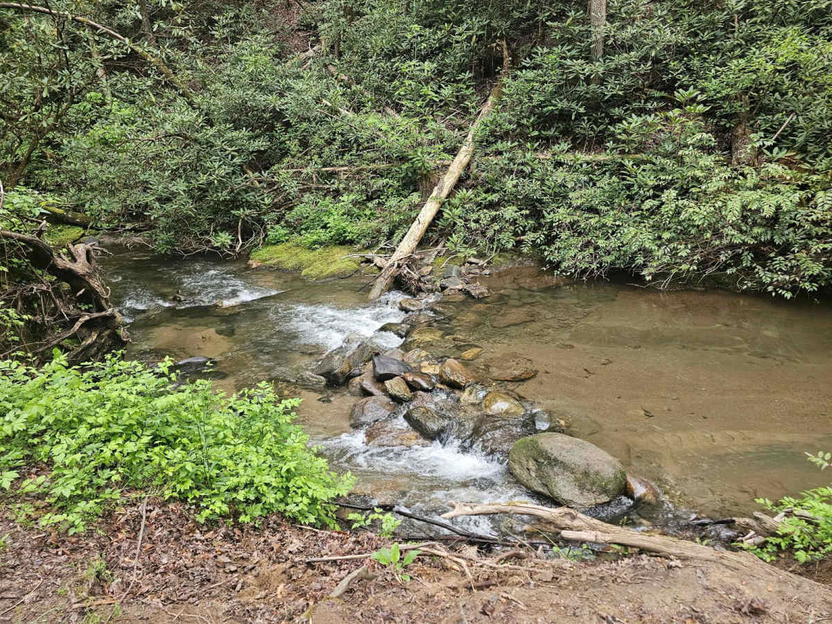 Tuckaluge Creek Road/153 trail photo