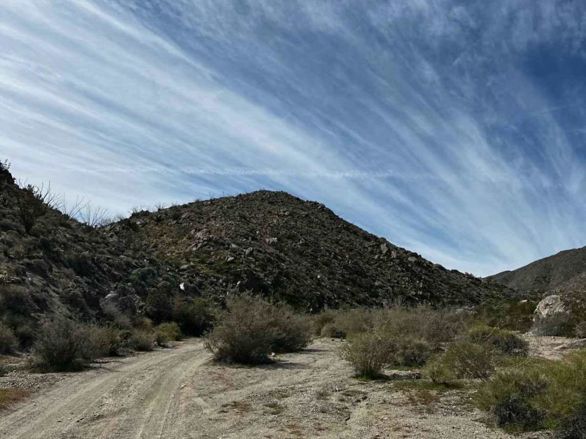 Grapevine Canyon Trail photo 2