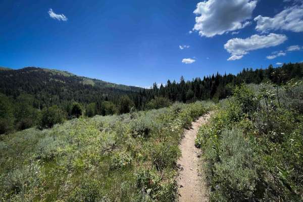 Squaw Creek