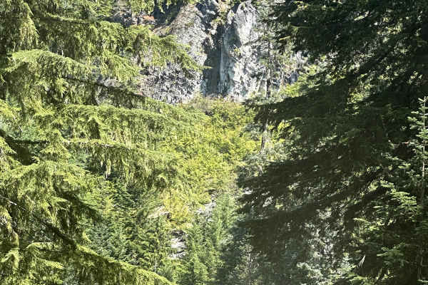 Willame Creek Trail
