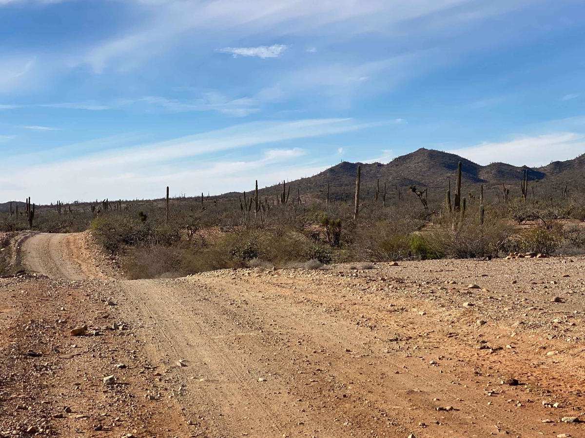 Ruta El Arco photo 3