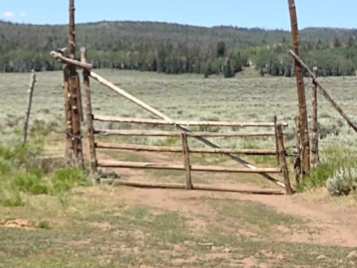 Wapiti Trail photo 2
