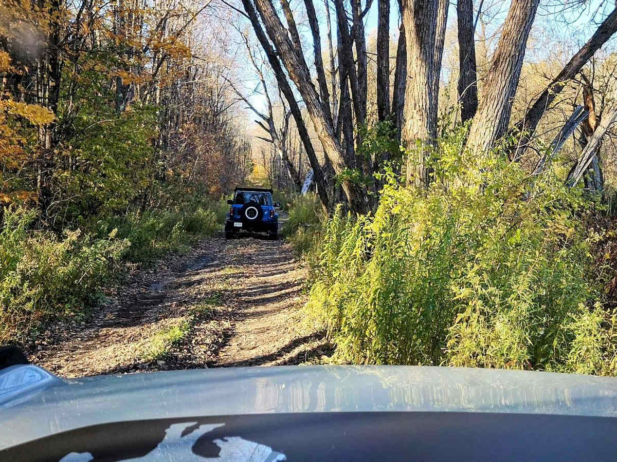 Hertz Road & Buck Hill Truck Trail trail photo
