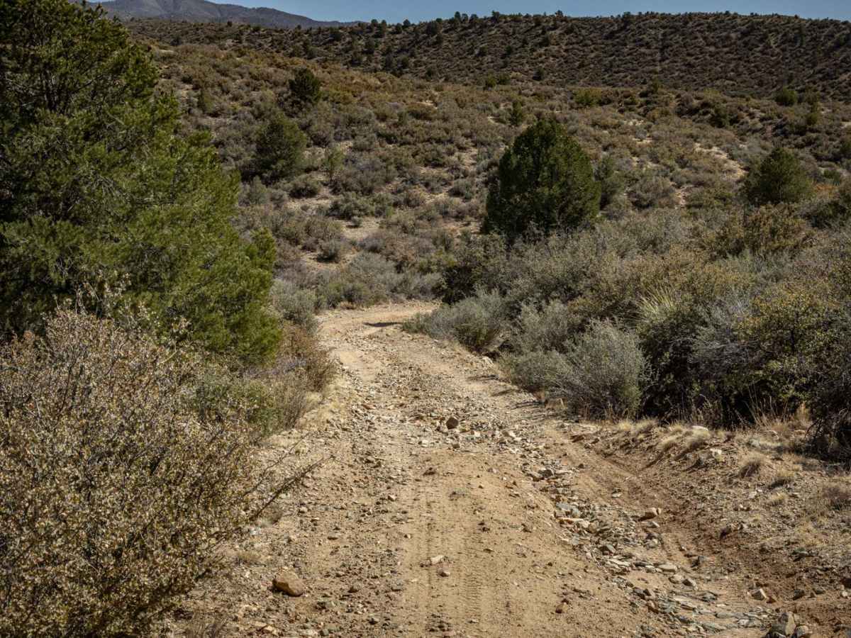 Gardner Wash photo 6