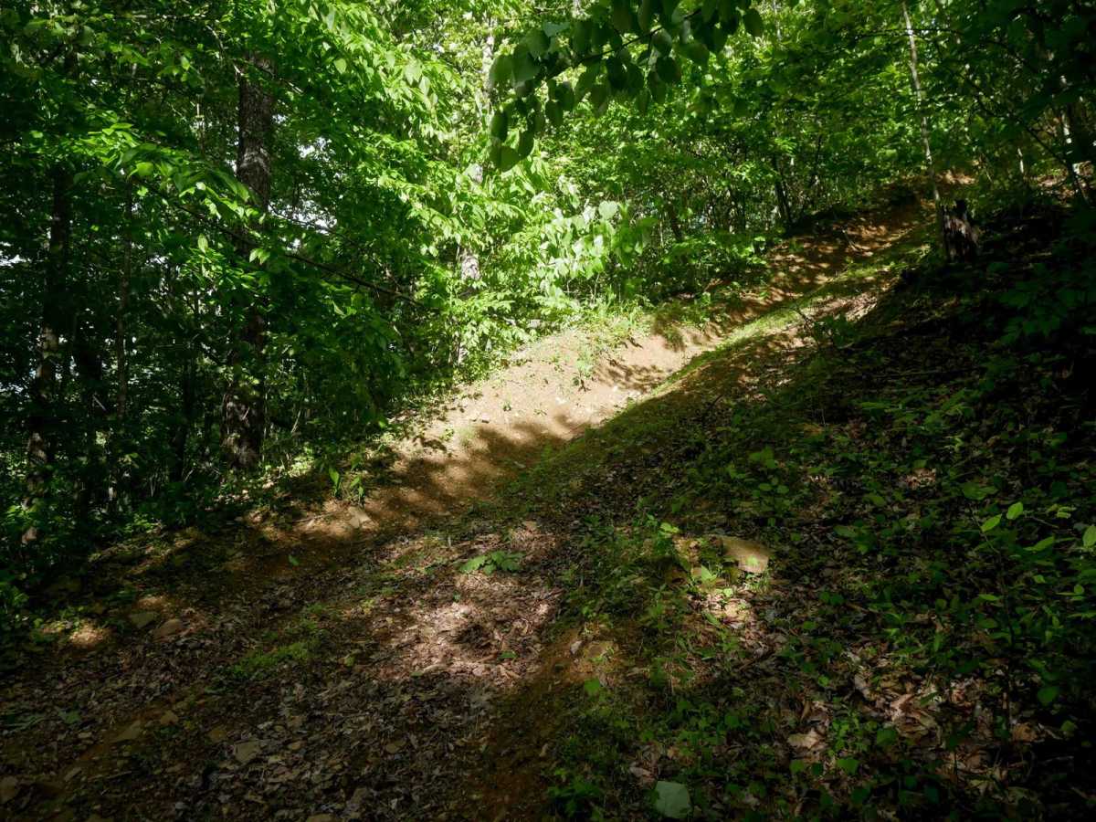 RV51 trail photo