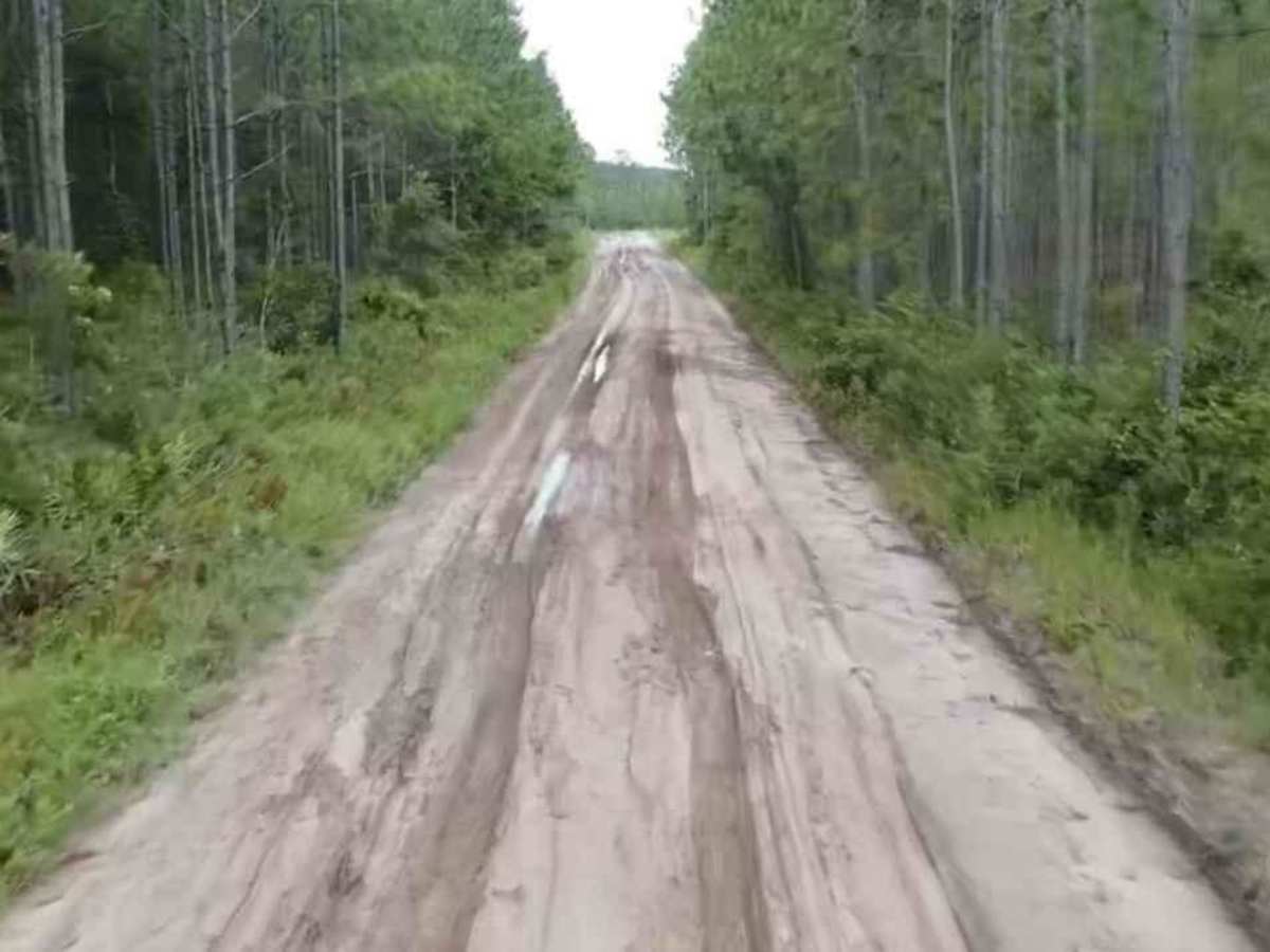 Satilla WMA Tour trail photo