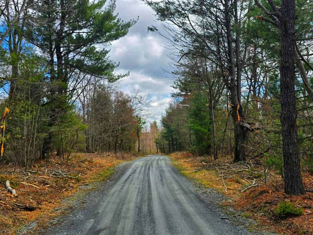 Swift Run Road trail photo