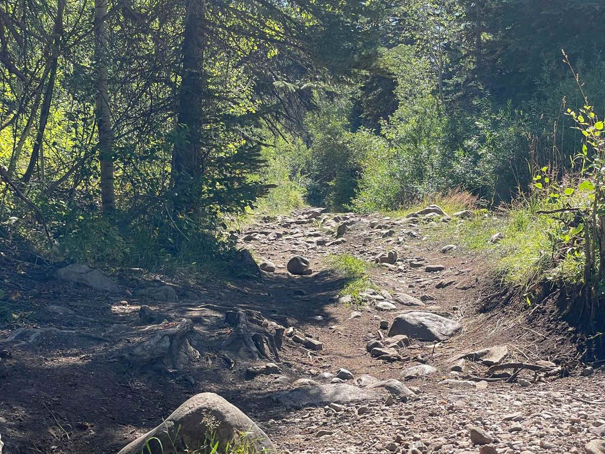 South Fork Weber - FR 031 photo 3