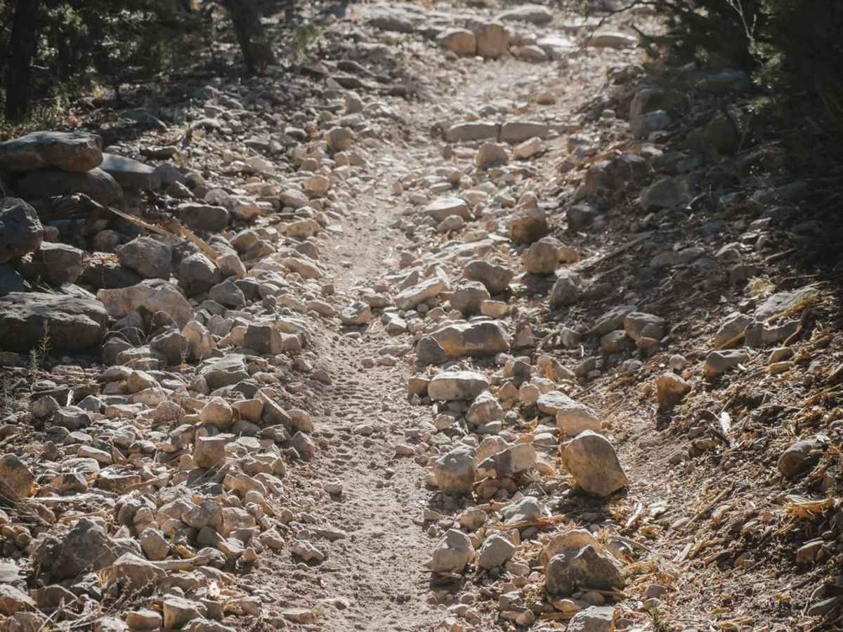 Lone Pine photo 2