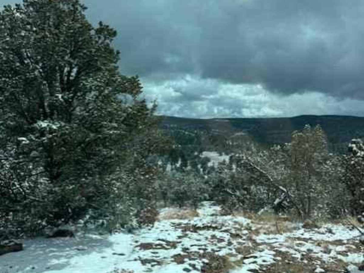 Coyote Trail photo 4