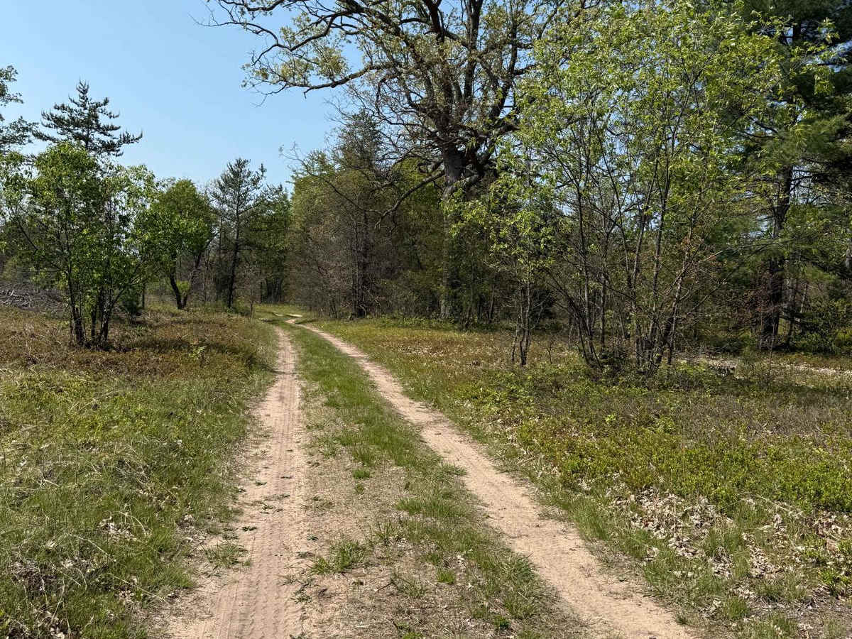 No. 2 East Trail photo 5