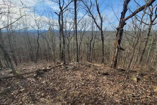 Scenic Overlook Bypass