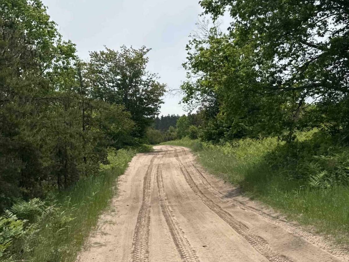 Townline photo 3