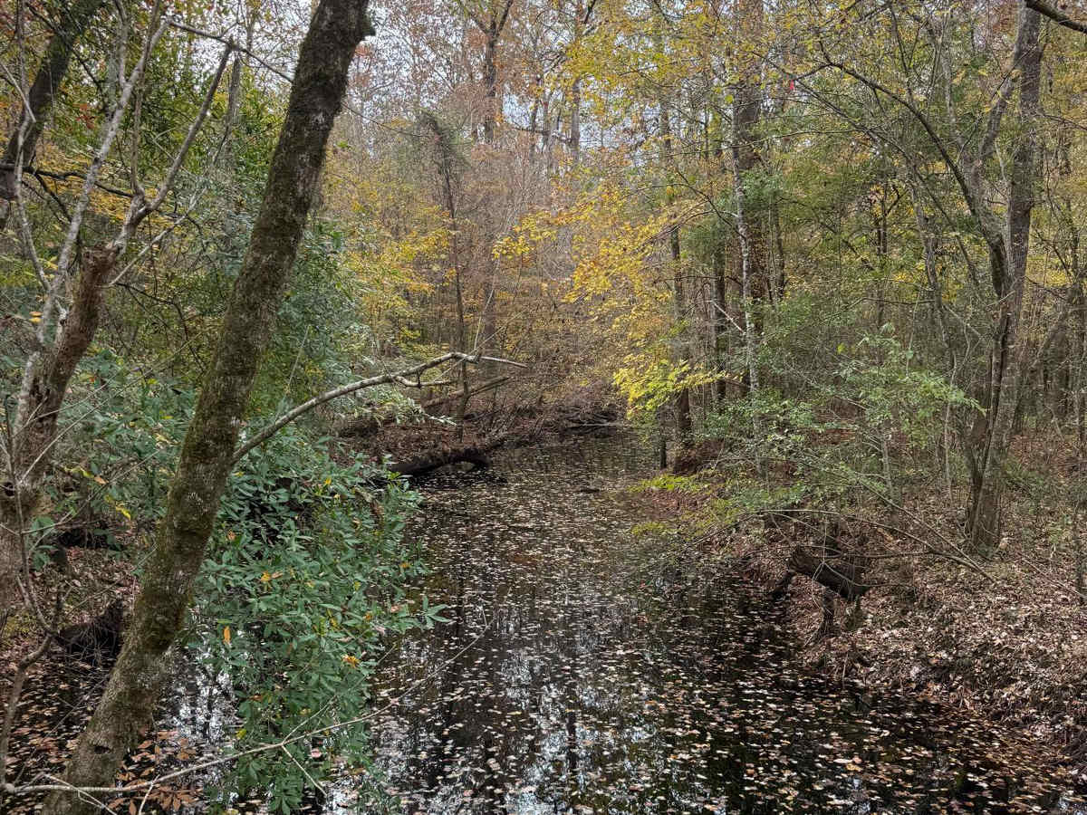 Morton Field photo 3