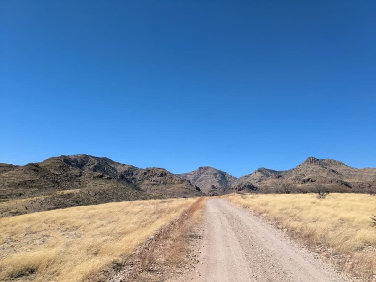 Wise Mesa - FR4151 photo 2