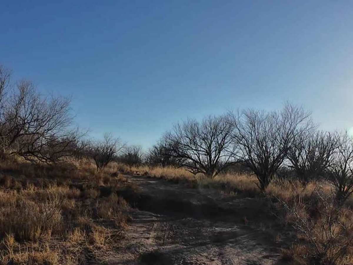 FR6910 trail photo