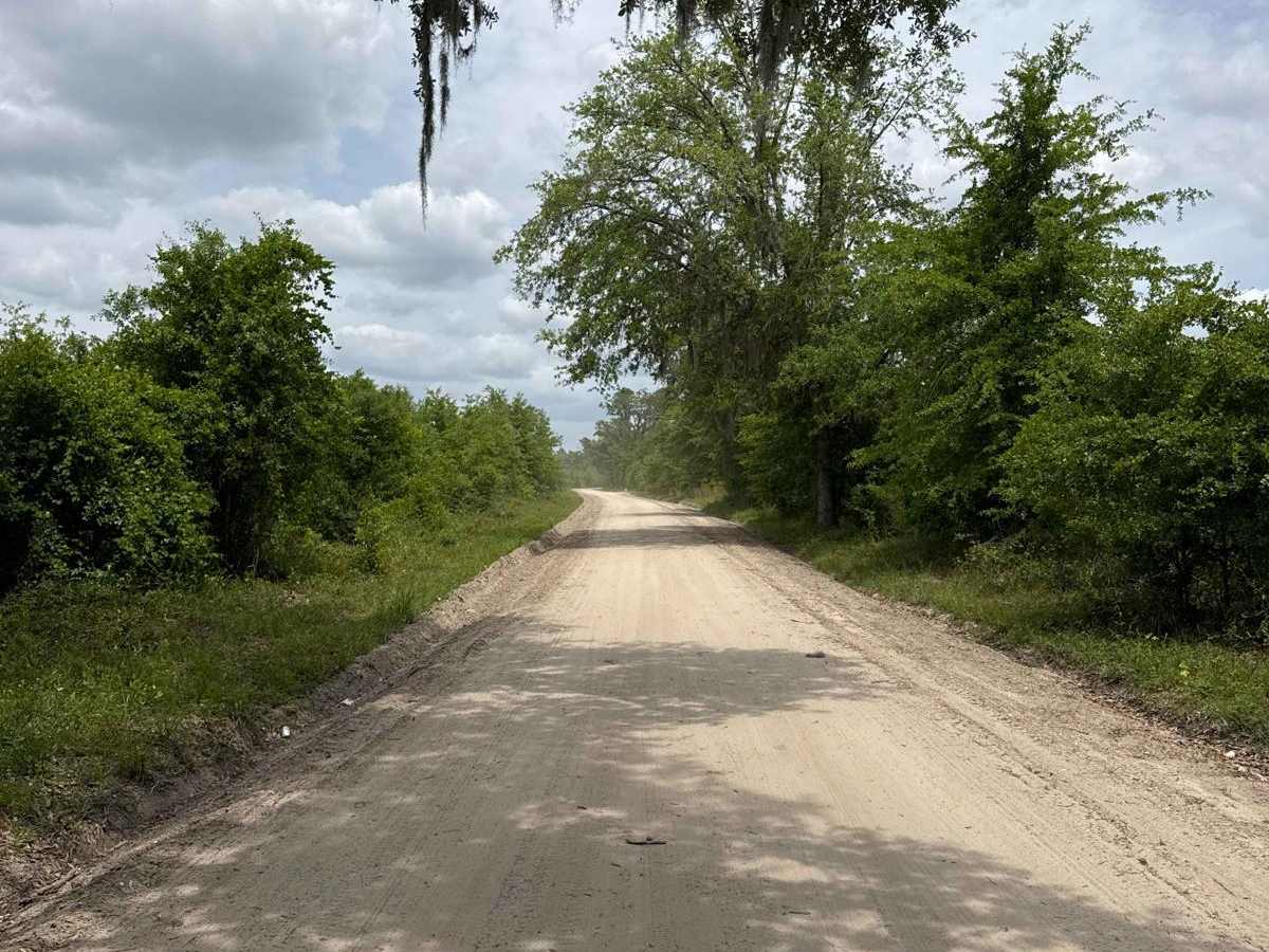 North East Needmore Road - Osceola NF trail photo