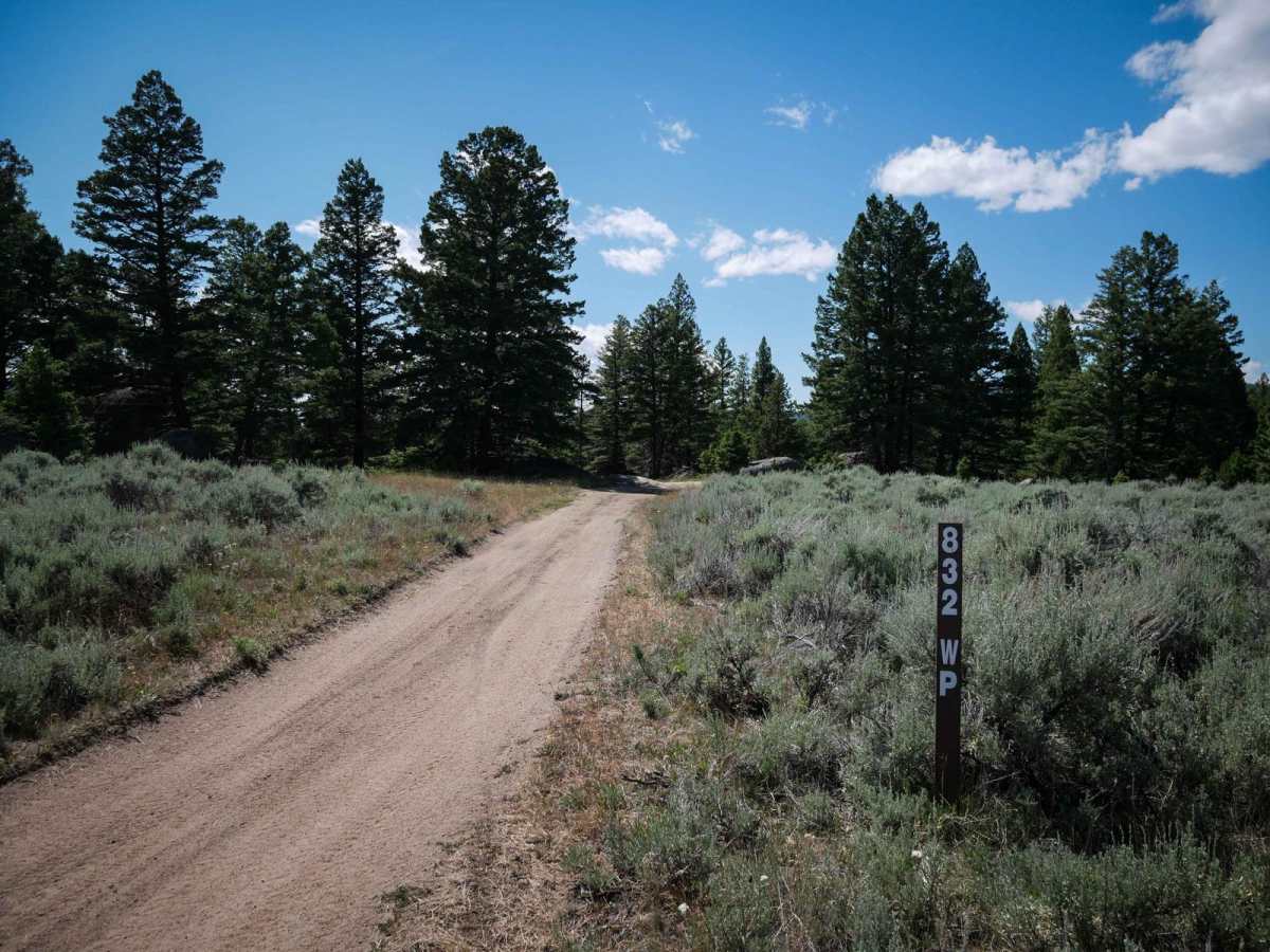 832 WP trail photo