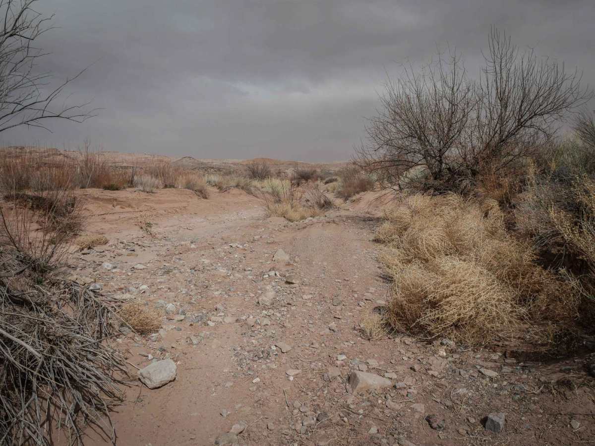 Upper Salt Wash trail photo