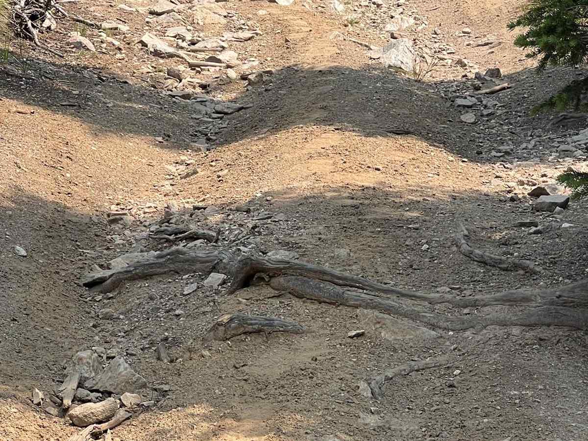 Cottontail Point Road photo 2