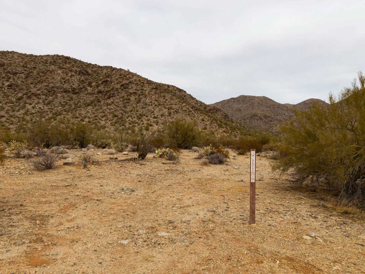 Wilderness Spur trail photo