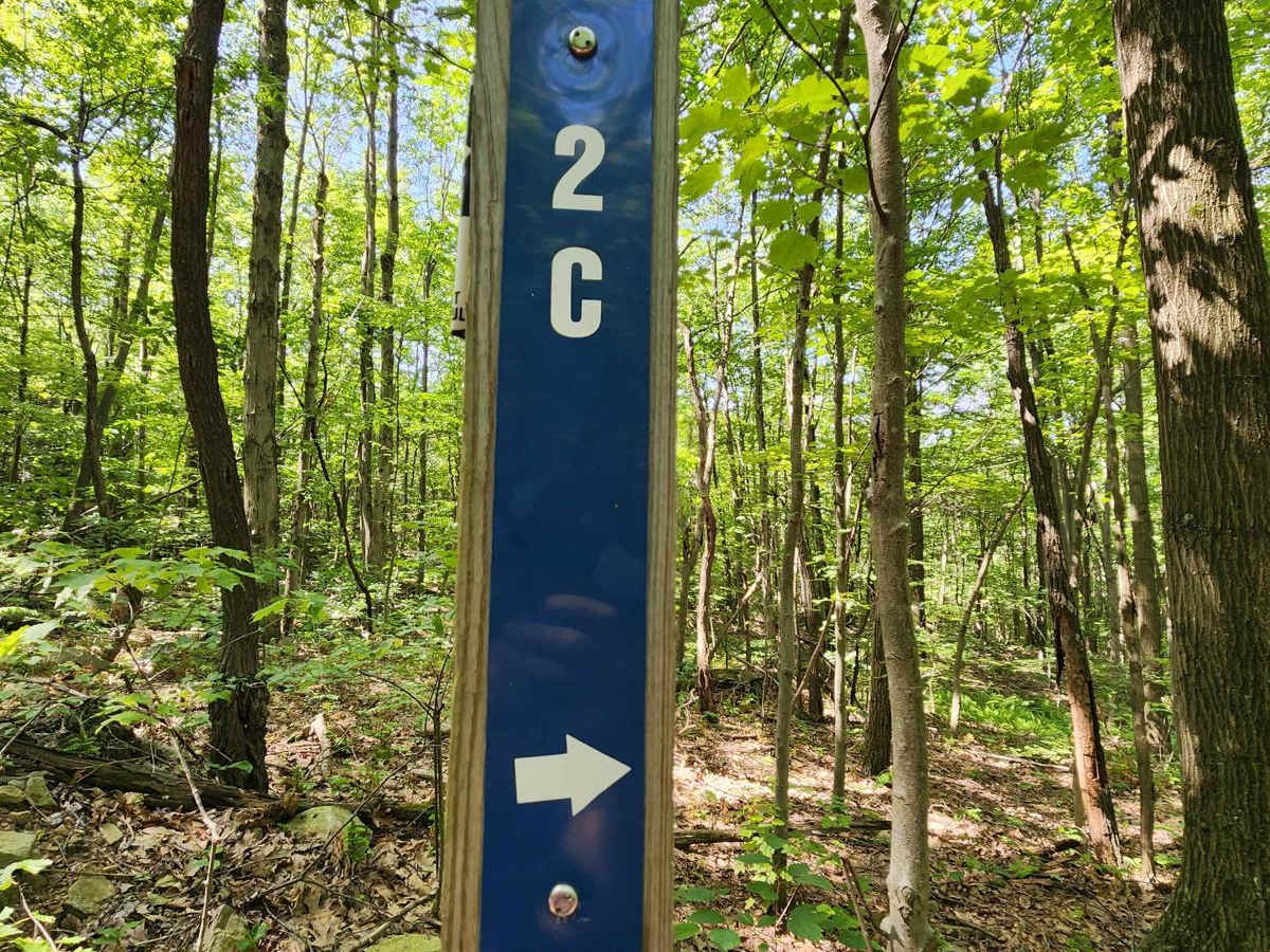 Trail 2C - Rock Run Recreation Area trail photo