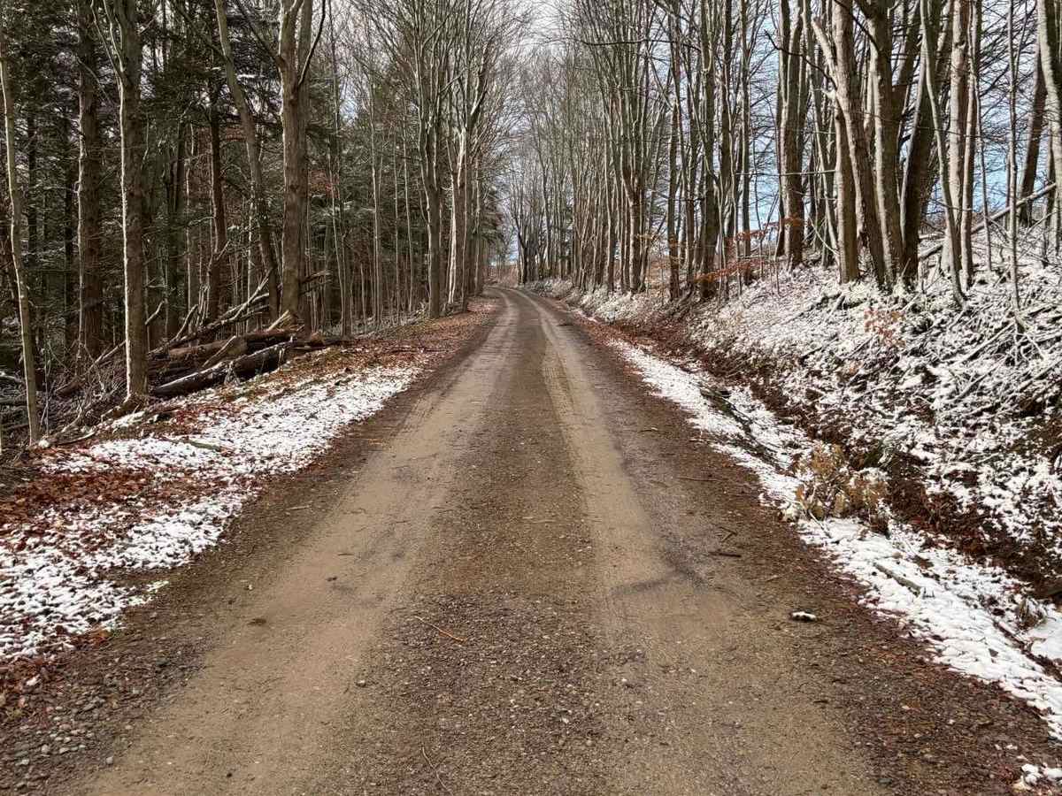 Hopkins Road photo 5