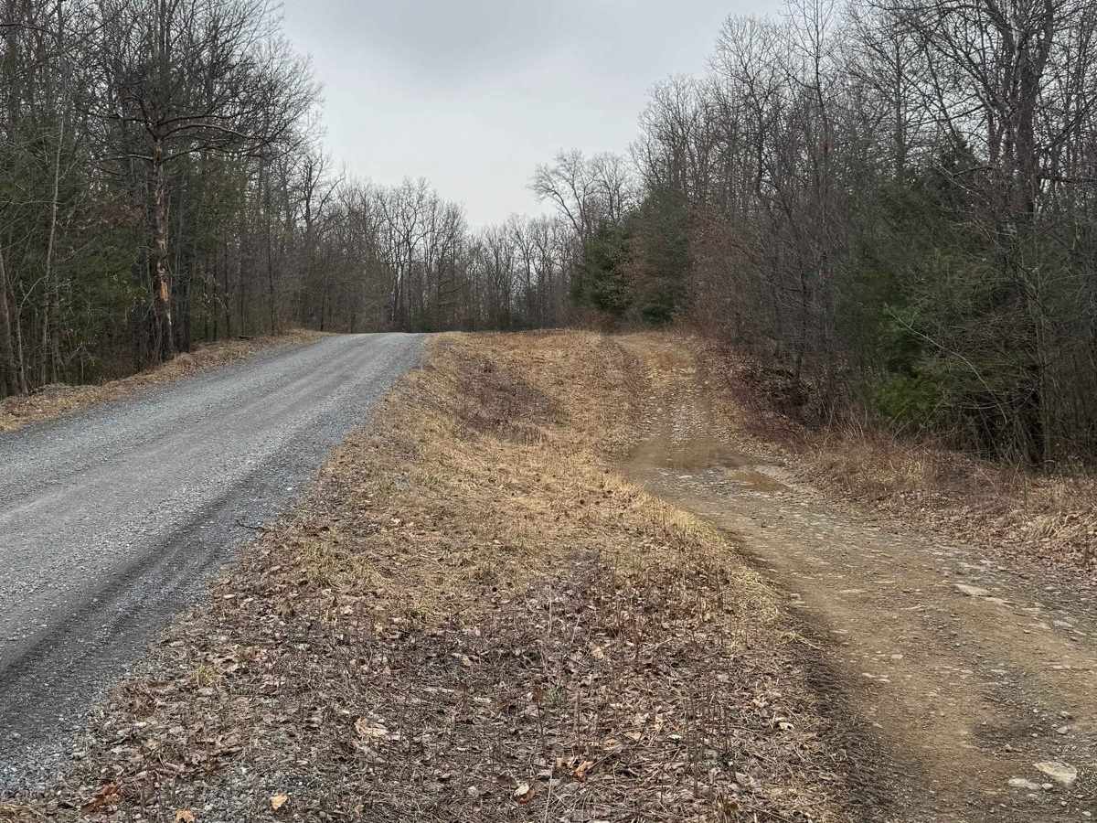 Kato Orviston Road photo 5