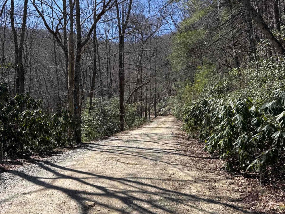 Indian Grave Gap - FR 283 photo 2