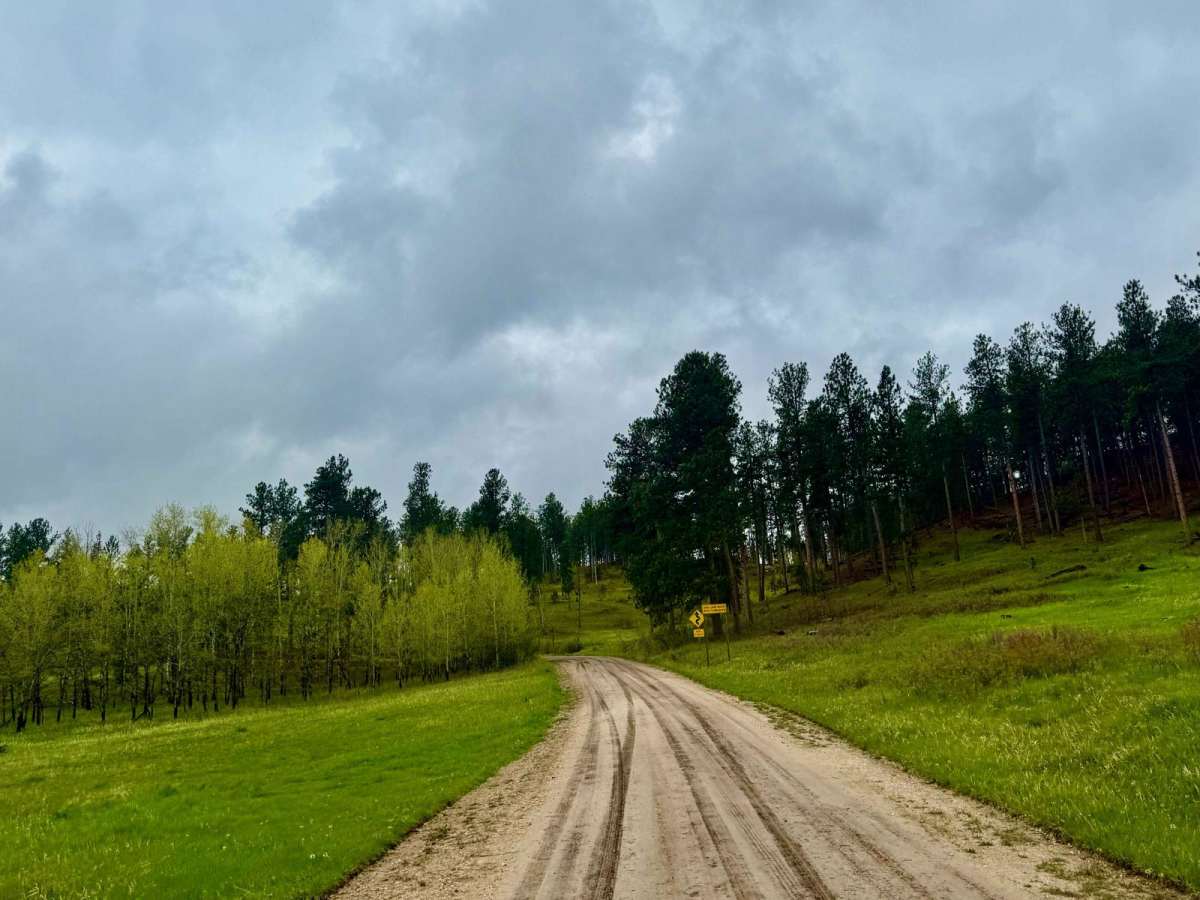 Battle Axe Road trail photo