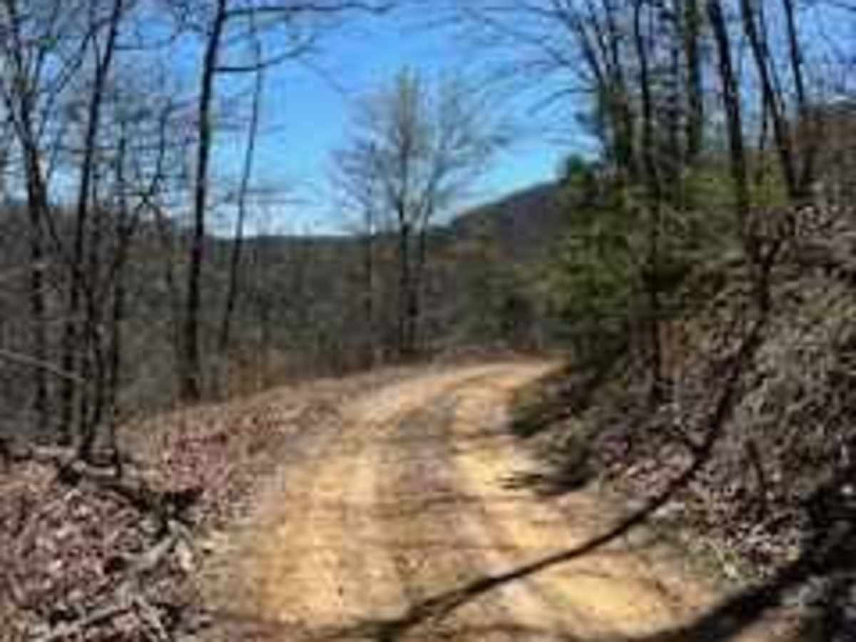 Bumpus Cove Trail - FS 190 photo 3