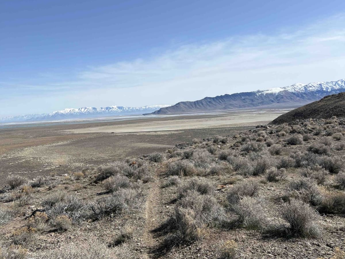 Basin Twister trail photo