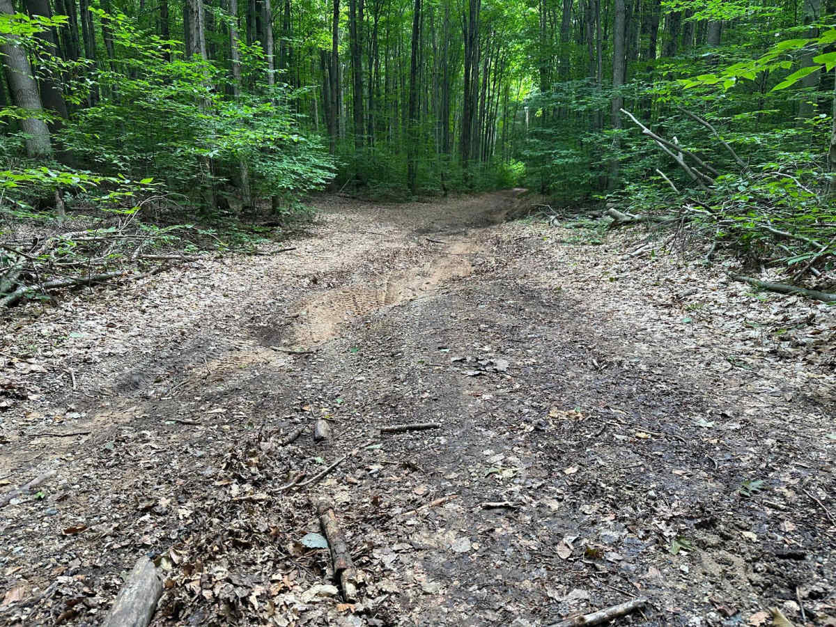 Fine Line Trail - FS 5775 photo 5