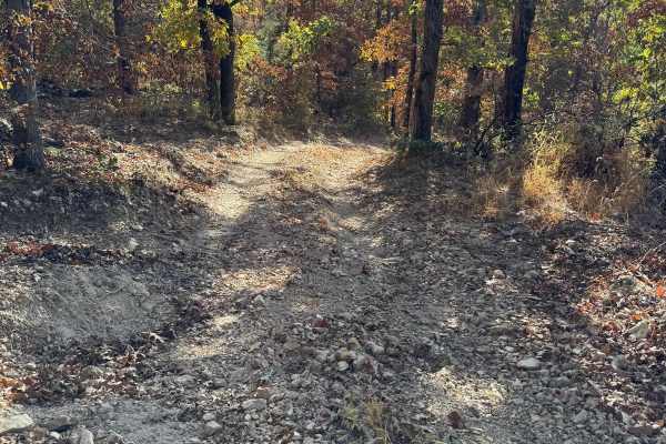 Power Wagon Trail 75