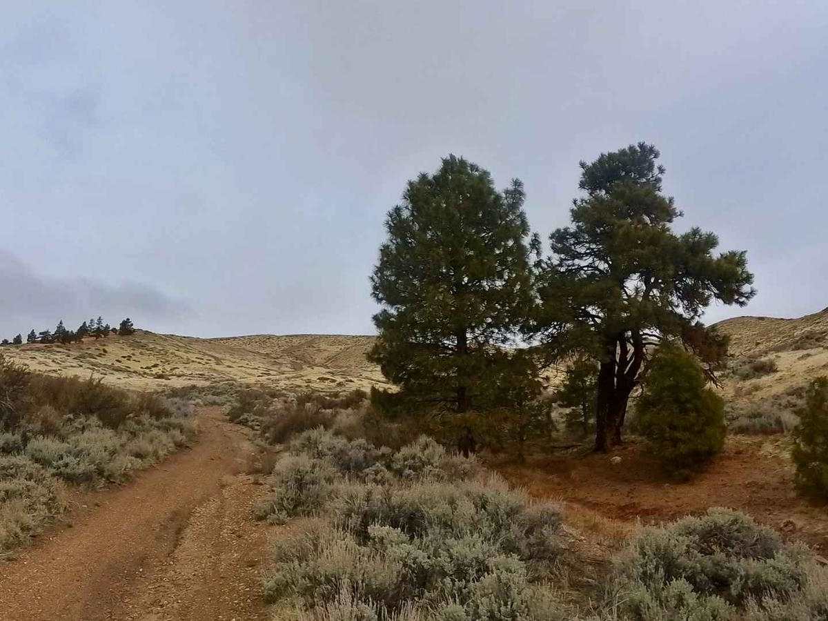 Golden Fleece Mine Road photo 4