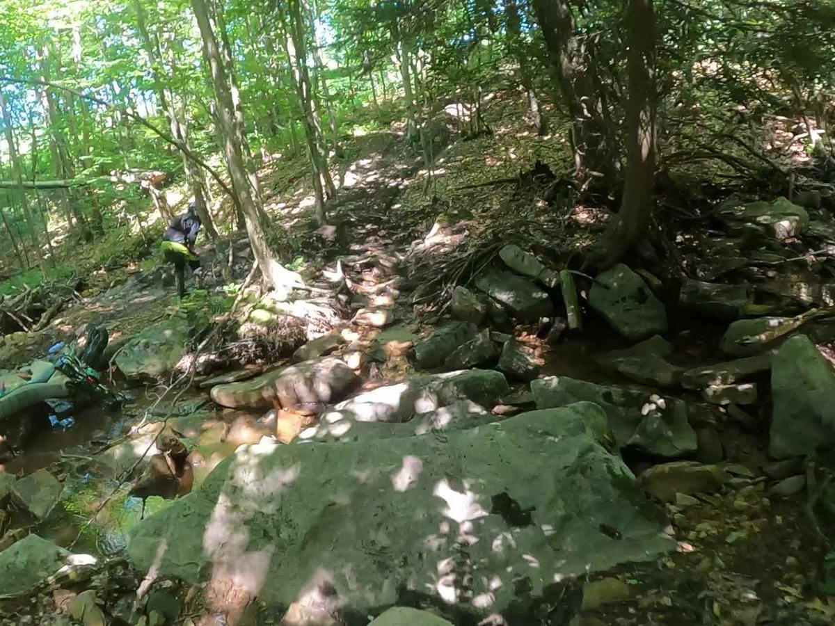Mountain Ridge ATV Park Singletrack BC photo 3