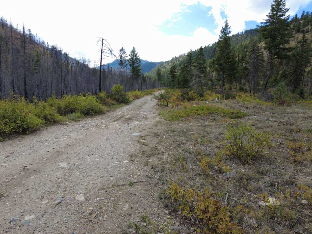 West Fork of Swamp Creek photo 4