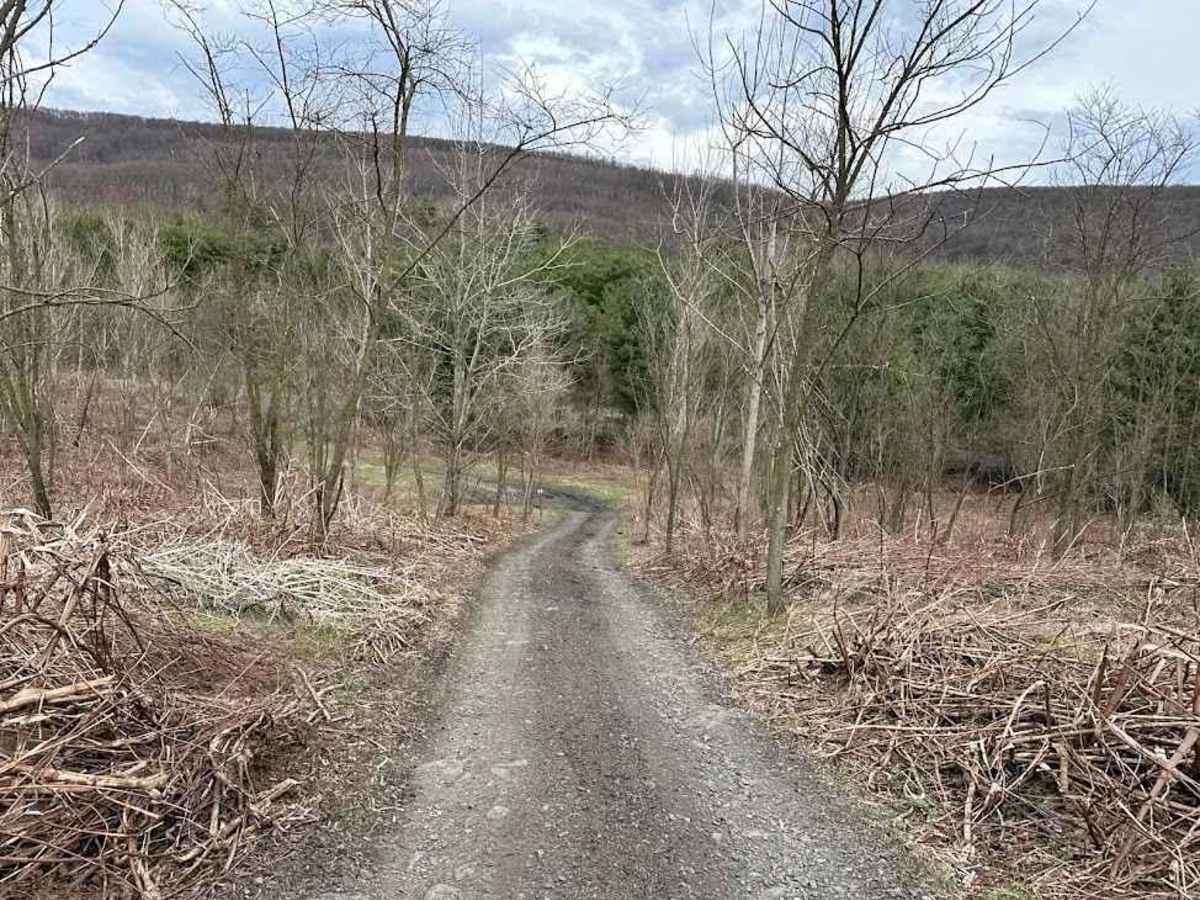 Minersville Short Cut photo 5
