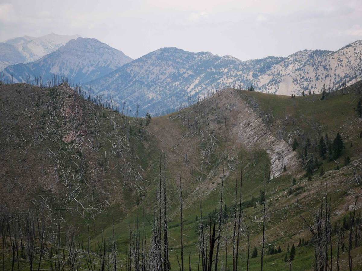 Bridger Foothills photo 6